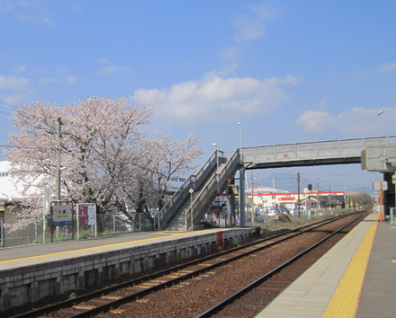 大歳駅のホームと桜
